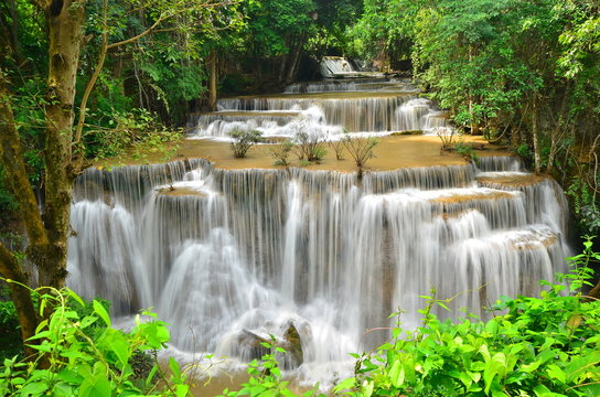 Rain Forest Waterfalls
