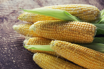 Fresh corn on wooden background