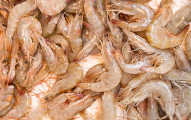 Fresh prawns