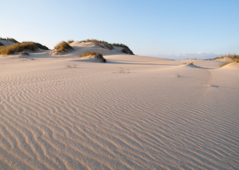 Dune on the beach