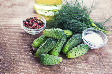 Fresh organic cucumbers