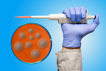 Hand in protective glove with a pipette and petri dish