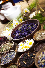 Assorted natural medical herbs 