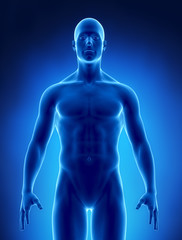 Obesity concept in x-ray normal weight