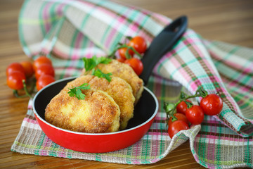 fish cutlets