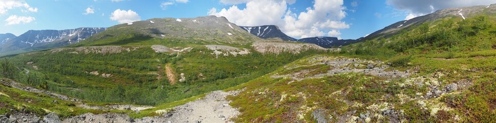 Fototapeta na wymiar mountains in summer. Panorama