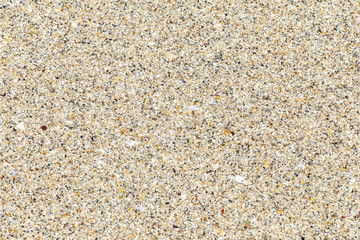  beach, closeup, natural background
