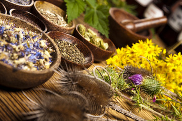 Alternative medicine, dried herbs 