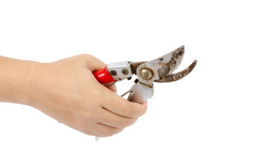 Garden Pruner in hand