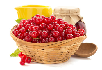 red currants on white