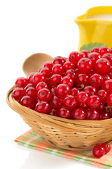 red currants on white