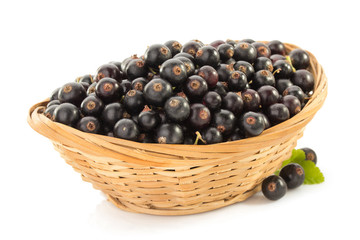 black currants on white