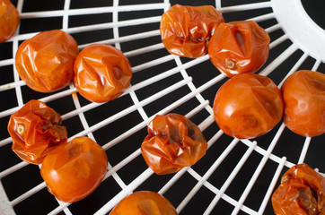 Dehydrated cherry tomatoes on food dehydrator tray
