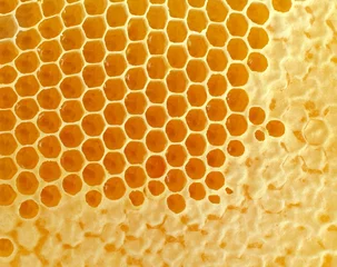 Fotobehang Honeycomb © freshidea