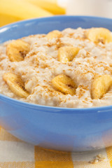 bowl of oatmeal tablecloth