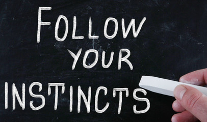follow your instincts - obrazy, fototapety, plakaty