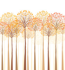 autumn trees