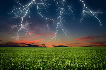 Papier Peint photo Orage Thunderstorm with lightning in green meadow