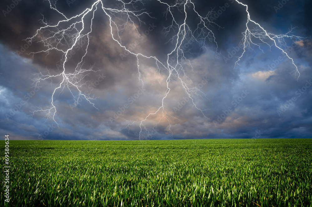 Canvas Prints thunderstorm with lightning in green meadow