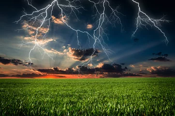 Zelfklevend Fotobehang Onweer Onweer met bliksem in groene weide