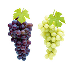 Rote und Weiße Weintrauben