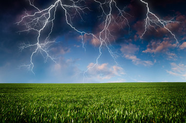 Thunderstorm with lightning in green meadow