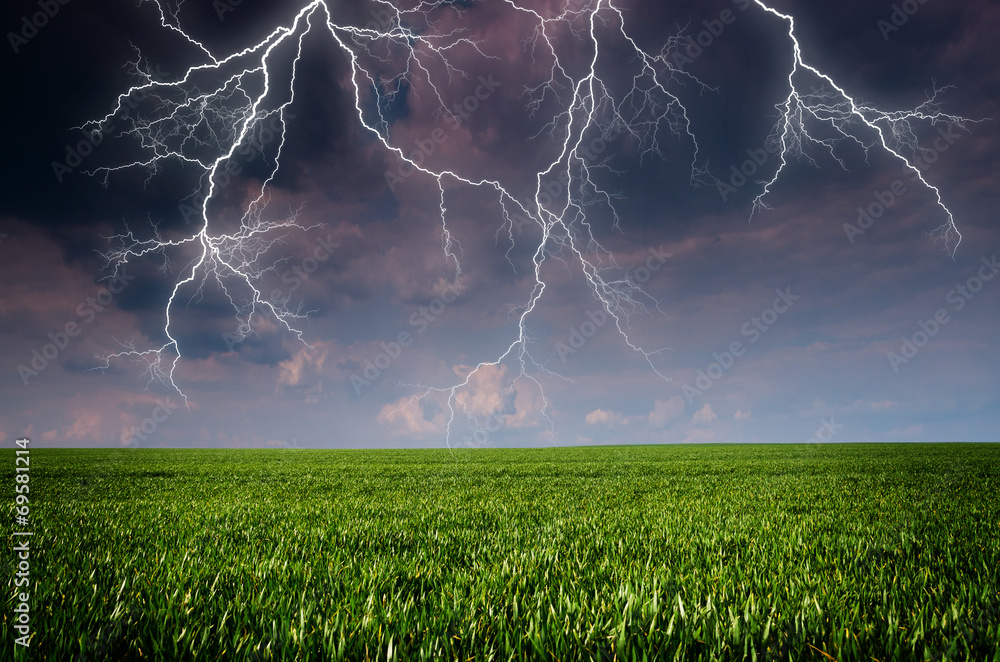Canvas Prints thunderstorm with lightning in green meadow
