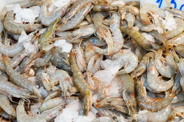 Fresh shrimps at a market