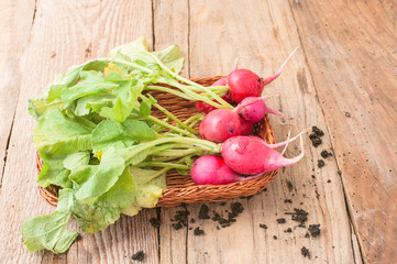 fresh radish on wooden table