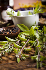 Fresh medicinal herbs on wooden 