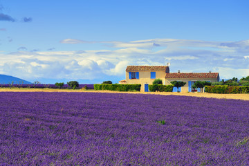 Provence rural landscape