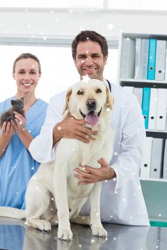 Composite image of veterinarians with dog and kitten