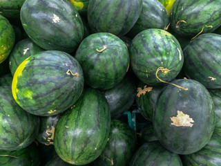 Watermelons