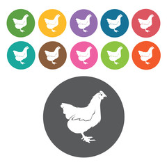 Chicken icons set. Round colourful 12 buttons. Vector illustrati