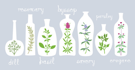 Aromatic Plants in Bottles