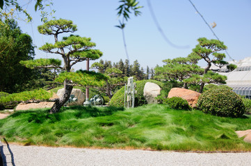 Beautiful view of Japanese Garden