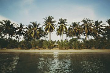 Beautiful sandy beach with palm trees