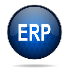 erp internet icon