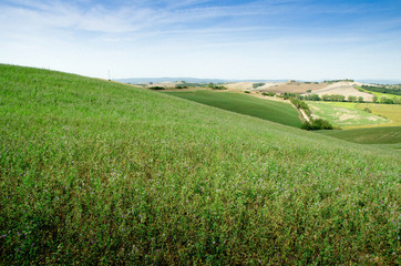 prairie toscane crete senesi