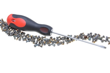 Obraz premium Screws and screwdriver isolated on white background