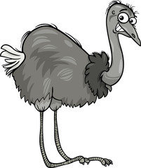 nandu ostrich bird cartoon illustration