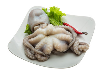 Raw octopus