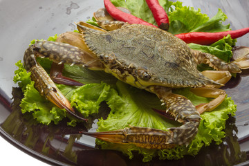 Raw crab