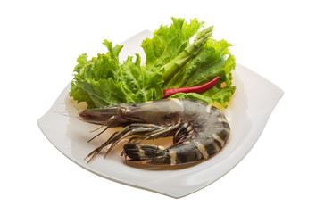 Tiger prawn