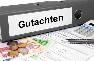 Gutachtenordner mit Geld und Taschenrechner, grau