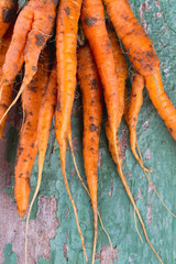 freshly picked carrots on wooden surface