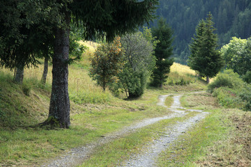 camino s