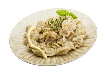 Russian dumplings