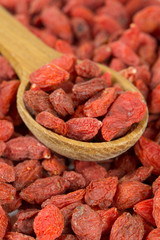 dried goji berries