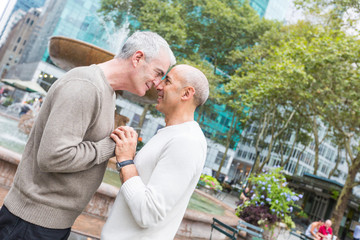 Gay Couple at Park in New York